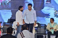 Telugu Mahasabhalu 2017 Photos